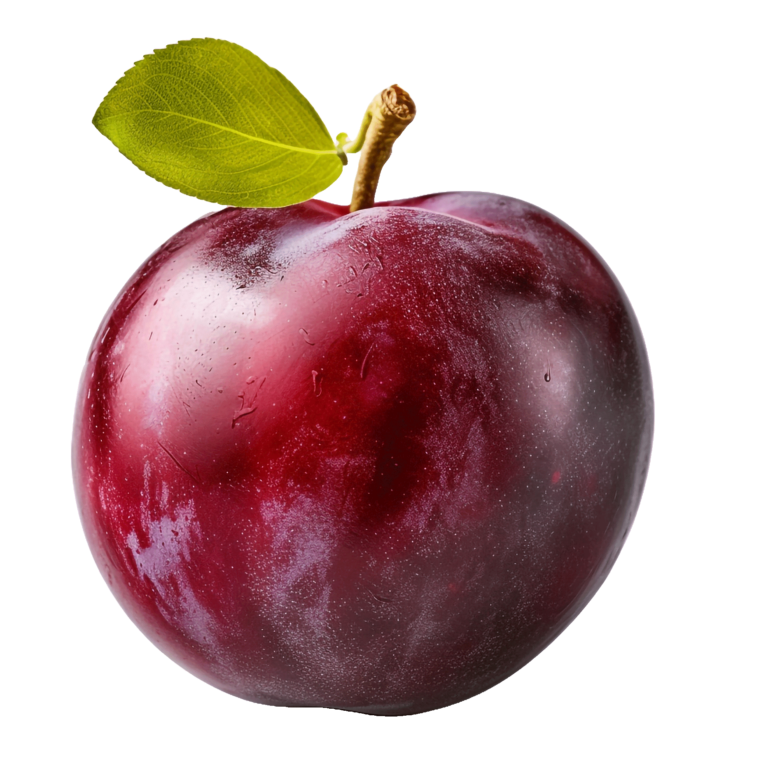 Plum--20